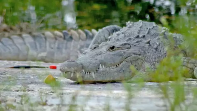 Al menos seis fueron encontrados sin vida.