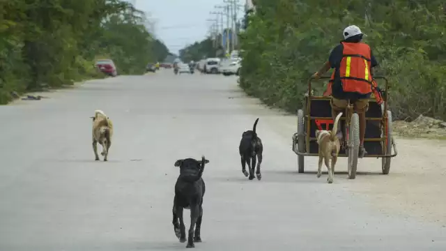 Buscarán ampararse contra la propuesta del Regidor Julio de Jesús Méndez Paniagua