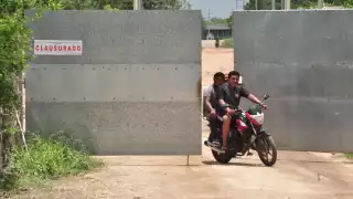 Agrupaciones ambientalistas de Yucatán buscan fortalecerse para lograr, de una vez por todas, sacar las megagranjas de Kekén del Estado