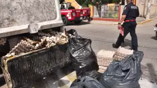 Los elementos del Cuerpo de Bomberos limpiaron el pavimento ante el percance