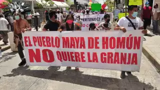 La abogada del movimiento Indignación expuso que apelarán en caso de que el juez acepte el documento emitido por la Secretaría de Desarrollo Sustentable presentado por Kekén