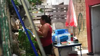 Pese a que los terrenos de la población se han vuelto de alta plusvalía, existen personas que viven sin los servicios básicos