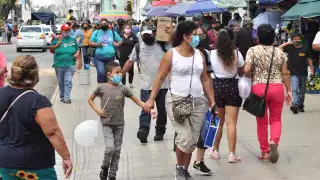 Un grupo de activistas presentará la propuesta mañana en el Congreso del Estado