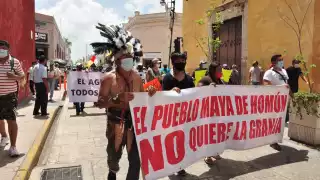 Las acciones se informarán a la opinión pública, en busca de apoyo