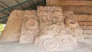 Los turistas que han tenido la oportunidad de verlos han quedado impresionados