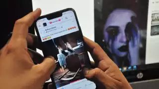 En la Entidad, un 2.8% de los usuarios de Internet han consultado referencias sobre el tema