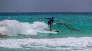 La mayoría de las playas monitoreadas en Cancún tienen sargazo en cantidad baja