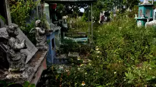 La maleza invade las tumbas, así como los pasillos del cementerio