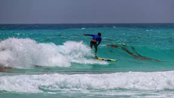 La mayoría de las playas monitoreadas en Cancún tienen sargazo en cantidad baja La mayoría de las playas monitoreadas en Cancún tienen sargazo en cantidad baja
