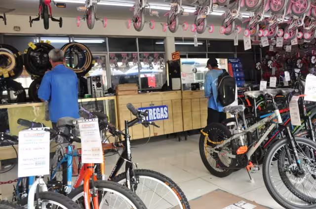 El mejor comportamiento lo tuvo el sector primario, con 14.2 por ciento, lo que colocó al territorio yucateco, en este rubro, en el sexto lugar a nivel nacional