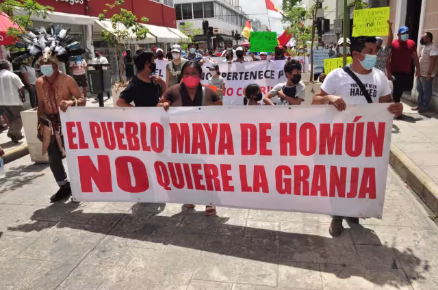 La abogada del movimiento Indignación expuso que apelarán en caso de que el juez acepte el documento emitido por la Secretaría de Desarrollo Sustentable presentado por Kekén