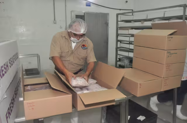 Durante los primeros seis meses del presente año, Yucatán ha registrado un total de 522 mil 839 dólares