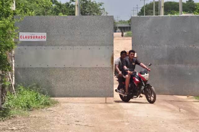 Agrupaciones ambientalistas de Yucatán buscan fortalecerse para lograr, de una vez por todas, sacar las megagranjas de Kekén del Estado