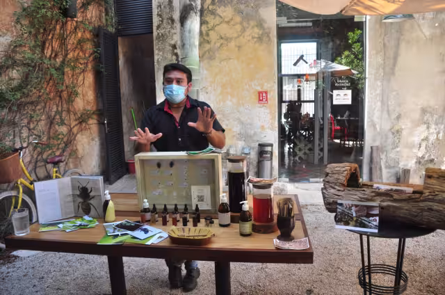 Esta abeja que carece de aguijón produce miel, polen, cera y propóleo