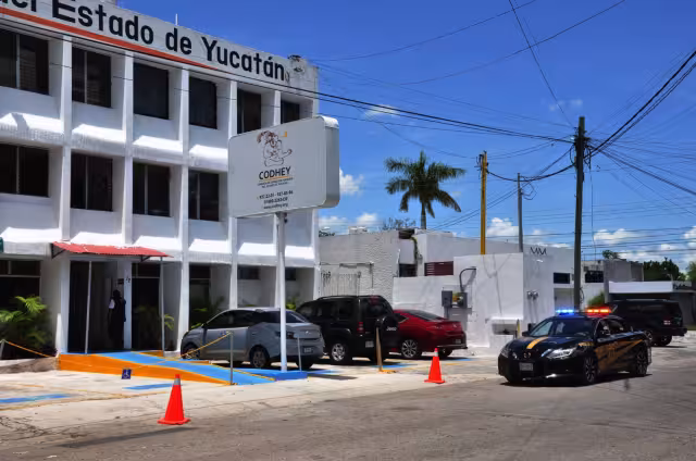 El presidente de la dependencia informó que se abrirá una carpeta sobre el asunto