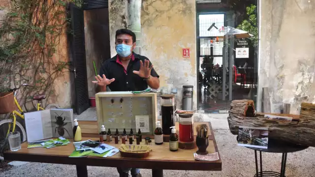 Esta abeja que carece de aguijón produce miel, polen, cera y propóleo