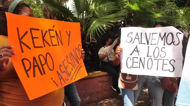 En la Península de Yucatán se encuentran 14.2 % de las granjas de cerdos del país.