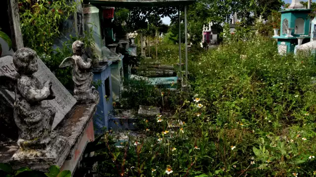 La maleza invade las tumbas, así como los pasillos del cementerio