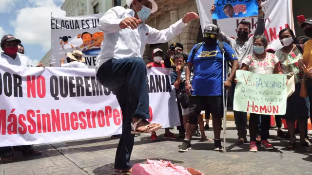 Miembros y simpatizantes del colectivo Kanan Ts’ono’ot acudieron a las puertas del Palacio de Gobierno, para solicitar que NO haya intervención que beneficie a las megagranjas