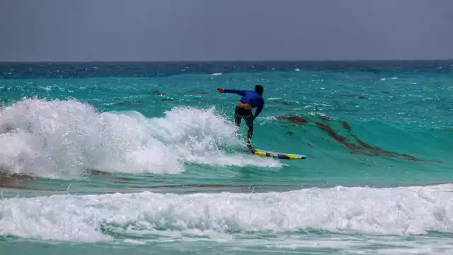 La mayoría de las playas monitoreadas en Cancún tienen sargazo en cantidad baja