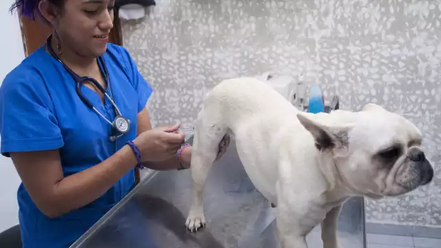 El aviso de enfermedades fue para las unidades médicas de vigilancia epidemiológica