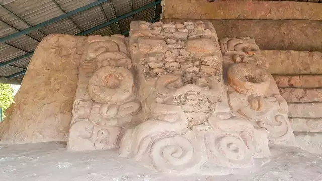 Los turistas que han tenido la oportunidad de verlos han quedado impresionados