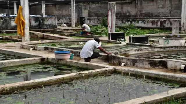 Actualmente más de 16 personas laboran en el negocio yucateco