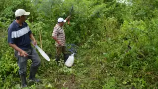 A la fecha se pusieron bajo manejo forestal para el cuidado del arbolado un total de 804 mil 211 hectáreas