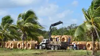 Entre enero y junio del 2021 hubo 349 denuncias por este delito, que se disparó 4,333% en 2020 en la Zona Sur de Quintana Roo