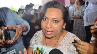 Cortés Moo culpó a la PNT de presentar fallos en su sistema