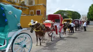 Los caleseros aún no levantan vuelo económicamente debido a los pocos turistas que llegan a la Entidad. Foto: David Collí.