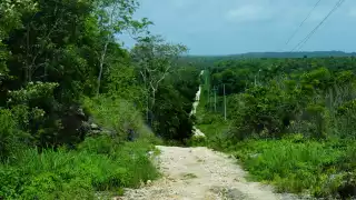 ¿Por qué los abuelitos de Yucatán prohibían ir al monte en Viernes Santo?