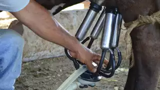 “Vale más un litro de agua que uno de leche”