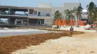 Los turistas busca playas libres del recale del sargazo; las barreras antisargazo no se han colocado en tres municipios de Quintana Roo