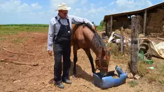 La celebración del Día de Muertos para los menonitas de Bacalar es como un día más, y se lo dedican a la cultura del trabajo