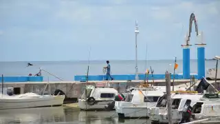 Les retiraron todos los apoyos y se endurecieron requisitos para obtener créditos