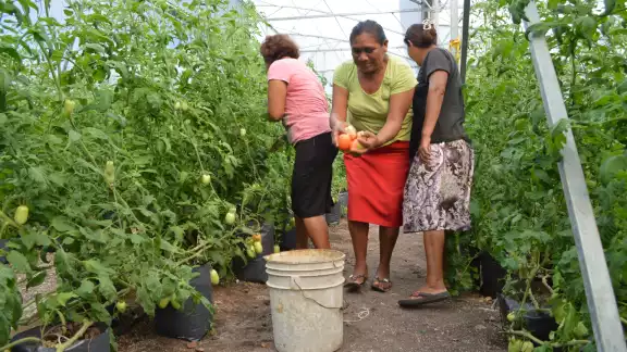 Etnias consideran que son desdeñados temas alimentarios y de conservación ambientales Etnias consideran que son desdeñados temas alimentarios y de conservación ambientales