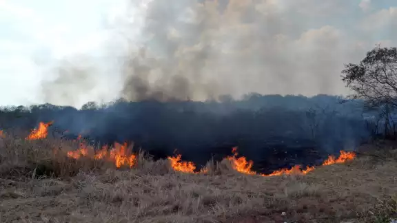 La quema desmedida de maleza, las colillas de cigarros que desechan en hierba seca y el “efecto lupa” son algunos de los detonantes de los siniestros
