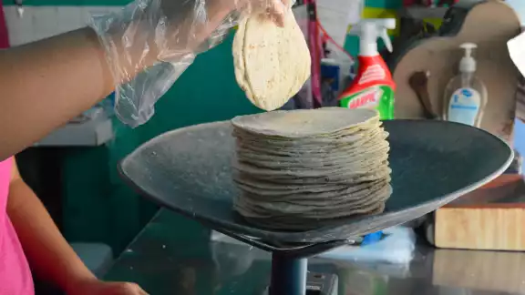 Hasta el momento no se reporta aumento en el precio del kilo de tortilla Hasta el momento no se reporta aumento en el precio del kilo de tortilla