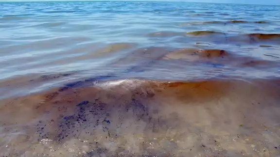 La mancha de petróleo se encuentra afectando a las costas de Campeche La mancha de petróleo se encuentra afectando a las costas de Campeche