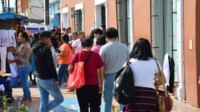 Durante el 2023, Campeche acumula 15 muertes por dengue