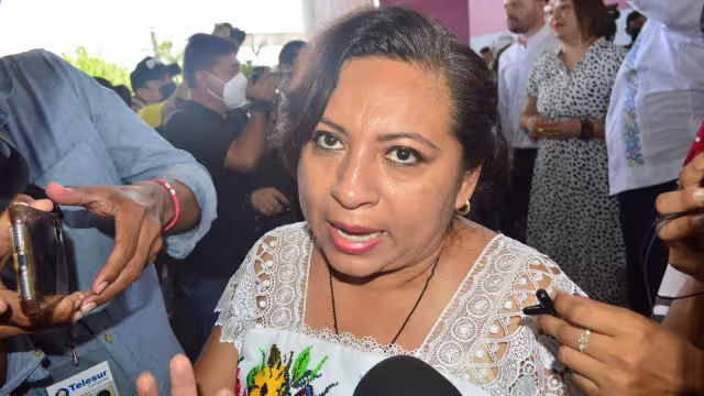 Cortés Moo culpó a la PNT de presentar fallos en su sistema