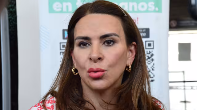 La secretaria Nacional del Partido Revolucionario Institucional (PRI), Carolina Viggiano Austria dio su postura al respecto