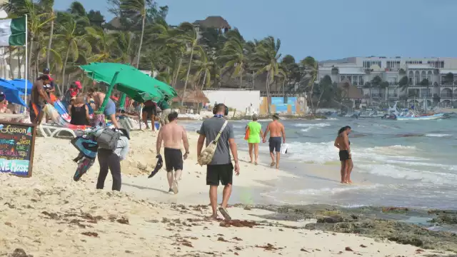 Los balnearios desde la calle 6 hasta la 10 amanecieron con importante recale de sargazo