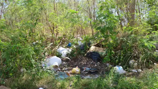 Dicen que es importante mantener la cultura de prevenir enfermedades