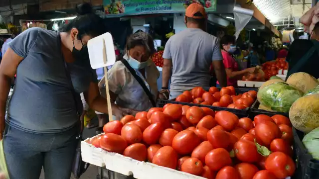En Campeche, el sueldo que se percibe, según datos del Coneval, permite a los empleados adquirir la mayoría de los productos de la canasta básica