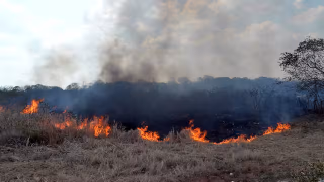 La quema desmedida de maleza, las colillas de cigarros que desechan en hierba seca y el “efecto lupa” son algunos de los detonantes de los siniestros