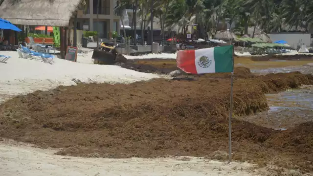 Personal de la Marina, retiró la tarde del pasado martes la barrera antisargazo a la altura de las playas de la avenida Constituyentes