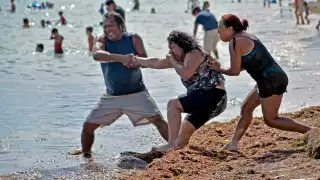 De los 117 sitios hidrológicos superficiales analizados, tres están en amarillo y seis en rojo; de estos últimos, la mayoría se ubica en el municipio capitalino