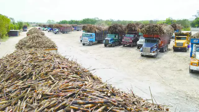 El Ingenio azucarero de San Rafael Pucté se localiza en el municipio de Othón P. Blanco, en la Zona Sur de Quintana Roo